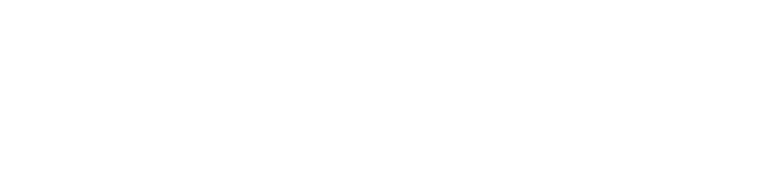 Locks To Logins Logo