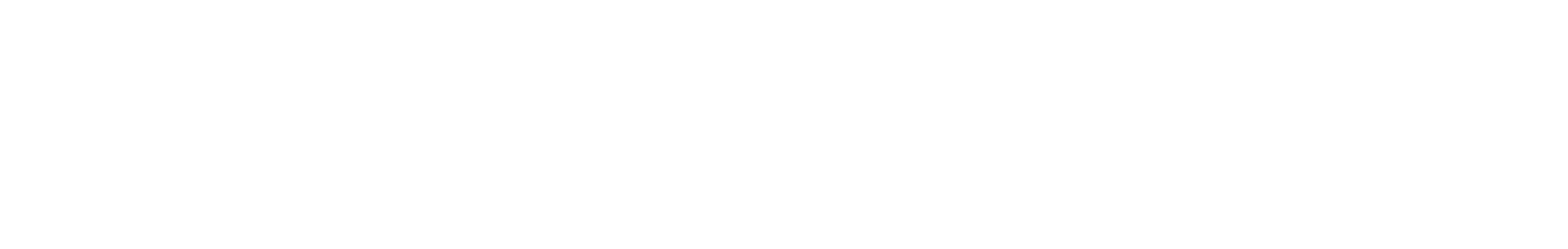 Locks to Logins logo